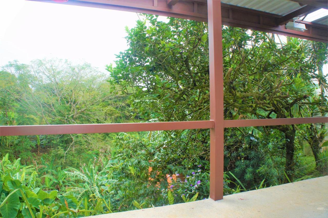 Casa Donna Rosa B&B Nuevo Arenal Exterior foto